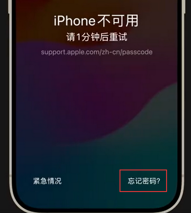 郁南苹果手机密码维修分享iPhone忘记了刚设置的密码 