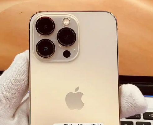 郁南苹果13维修中心分享如何在iPhone13上设置动态壁纸